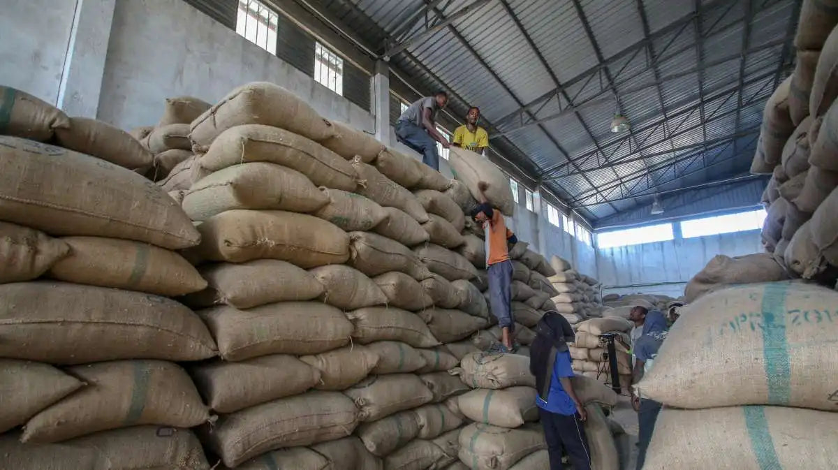 Ethiopia Yirgacheffe