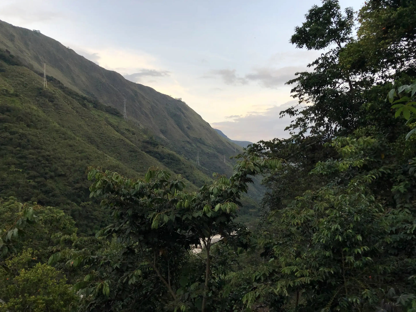 Peru Chanchamayo Dark Edition