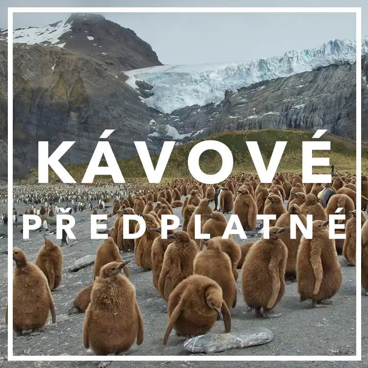 Kávové předplatné