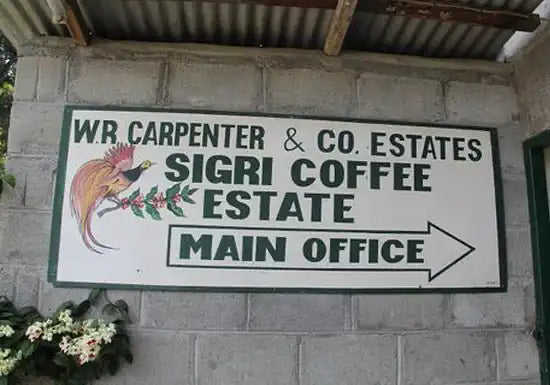Penguin Coffee