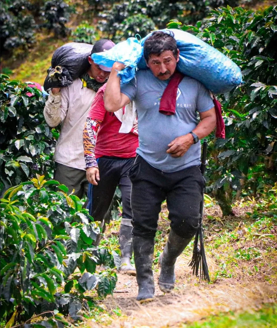 
                  
                    Peňas Blancas Colombia
                  
                