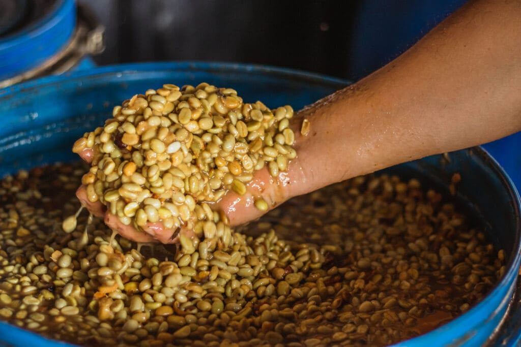 
                  
                    Monteblanco "KUMQUAT" Colombia 200g
                  
                