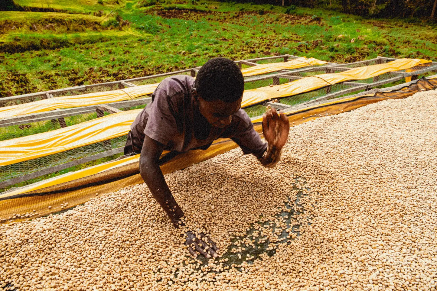 
                  
                    Kabare Karani Kenya
                  
                