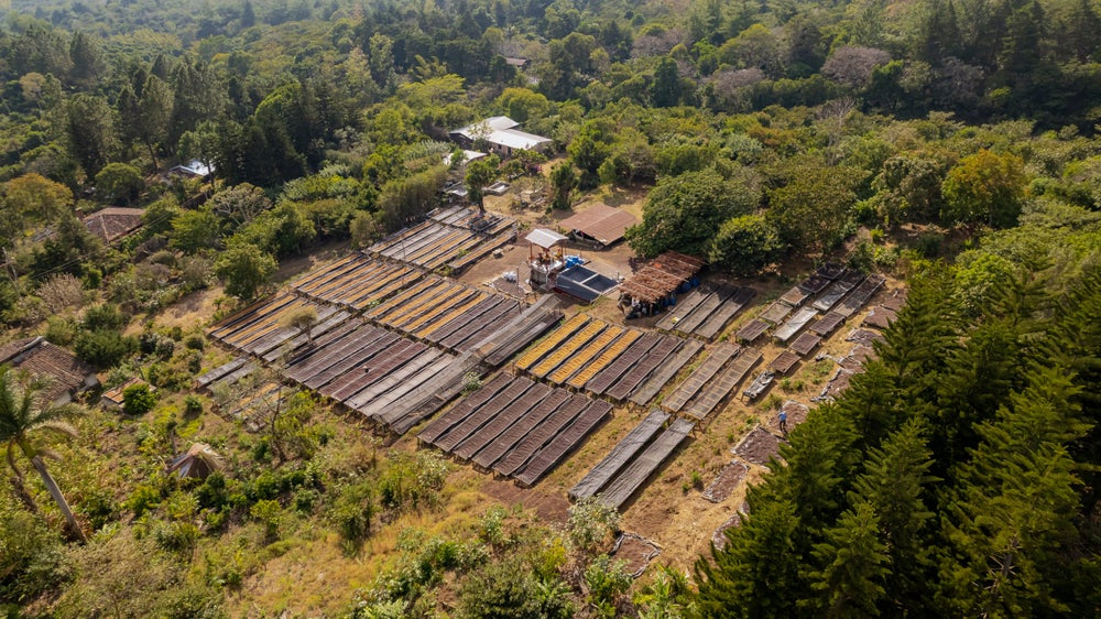 
                  
                    El Salvador Carlos Pola
                  
                