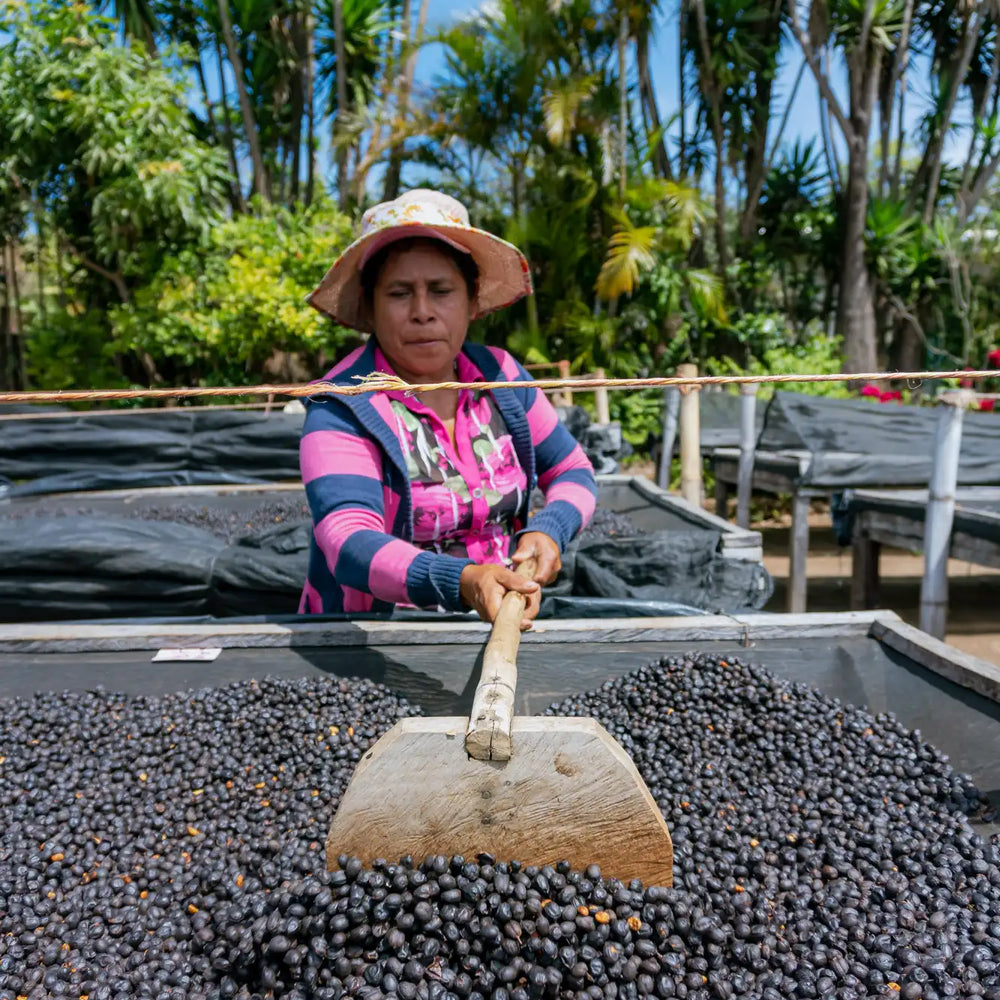 
                  
                    El Salvador Carlos Pola
                  
                