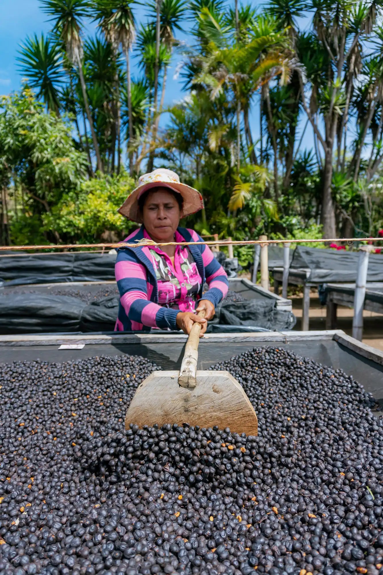 
                  
                    El Salvador Carlos Pola
                  
                